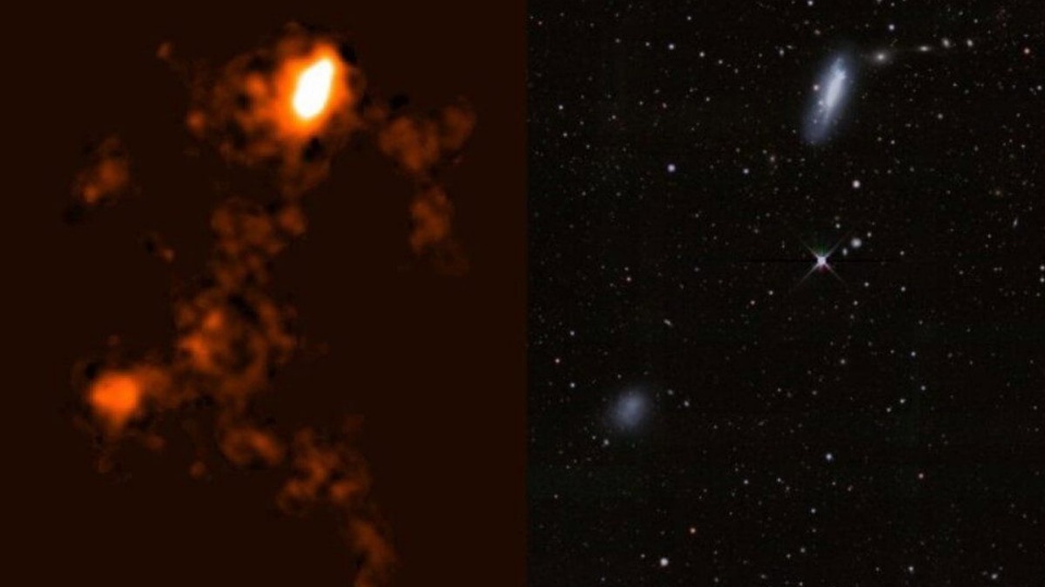 (195314) (195314)